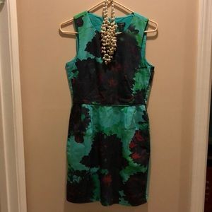 J Crew dress